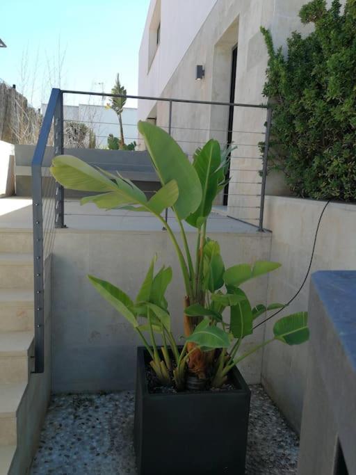 פלמה דה מיורקה Precioso Chalet Vanguardista מראה חיצוני תמונה